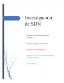 Redes Basadas en Software (SDN) en el Contexto de Proveedores de Servicios de Telecomunicaciones