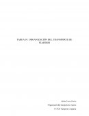 Organización del transporte de viajeros