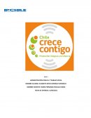 Administración publica y trabajo social