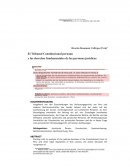 El Tribunal Constitucional peruano y los derechos fundamentales de las personas jurídicas