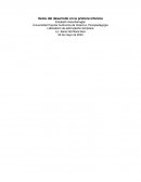 Items del desarrollo en la primera infancia