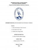 Informe de práctica: reconocimiento de proteinas y enzimas