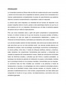 Importancia de las ciencias sociales