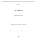 Etapa de profundización Sistemas Operativos