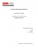 Evidencia de lectura del libro de psicopatología