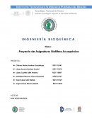Proyecto de Asignatura: Biofiltros Acuapónico