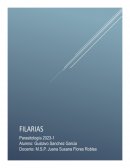 Filarias