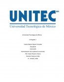 Administración de la cadena de suministro de McDonald´s