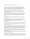 UVM “Por siempre responsable de lo que se ha cultivado”