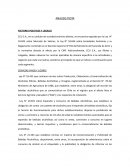 Trabajo de finanzas CCU S.A.