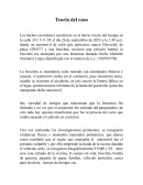 Teoria de un caso: accidente