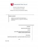 Informe de practicas pre profesionales Droguería Laboratorio Medisur E.I.R.L