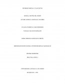 Informe parcial cualitativo