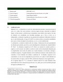 Generación de empresas - Munaiky S.A.C