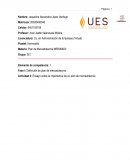 Ensayo sobre la importancia de un plan de mercadotecnia