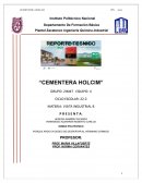 Reporte técnico “Cementera Holcim”