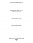 Caso práctico Metalurgica Santa Rita