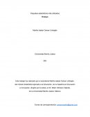 Paquetes estadísticos más utilizados