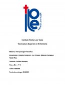 El ejercicio de la enfermería según la mirada antropológica