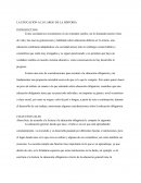 La educación a lo largo de la historia