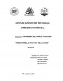 Enfermeria del adulto y anciano