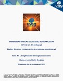 Dinámica y organización de grupos de aprendizaje v2