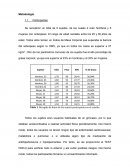 Borrador Metodología