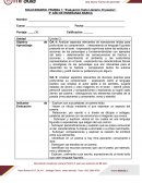 Evaluación Texto Literario: El poema