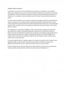 Informe sobre auditoria 3