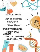 La tierra y el universo