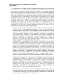 Pricipales alcances de la constructibilidad: En el diseño