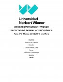 Tarea N°6 - Manejo del COVID-19 en el Perú