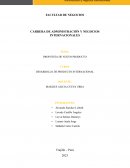 Desarrollo de producto internacional