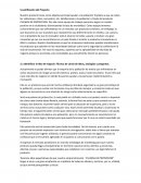 Proyecto Pulsera de protección