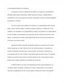 La Incomparable Belleza de la Naturaleza