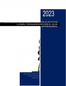 Síntesis de los centros educativos como organizaciones que aprenden