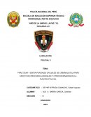 Practicar y emitir peritajes oficiales de criminalística para efecto de procesos judiciales y otros derivados de la función policial