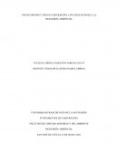 Uso de drones y gps en cartografía, con aplicaciones a la ingeniería ambiental