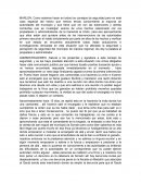 Fundamentos del mercado. Marlon