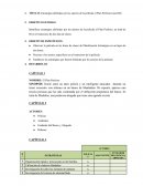 Estrategias definidas por los autores de la película el Plan Perfecto