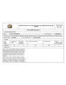 Plan curricular anual