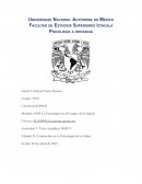 Texto Analítico DSM