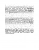 Manejo clínico de los eventos adversos cutáneos en pacientes tratados con quimioterapia: consenso nacional de la Academia Espan ̃ola de Dermatología y Venereología