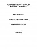 Plaga en palma africana y su manejo