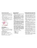 Estudio neuropsicología