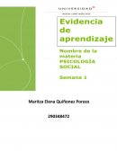 Evidencia de aprendizaje. Psicología social