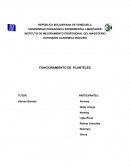 Funcionamiento de planteles