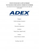 Empresa: Motores Diesel Andinos S.A