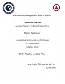 Psicología holística