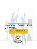 Cómo Elaborar un Programa de bienestar Laboral